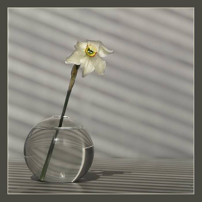 Застенчивость. Автор: Михаил Маслов , Михаил Маслов