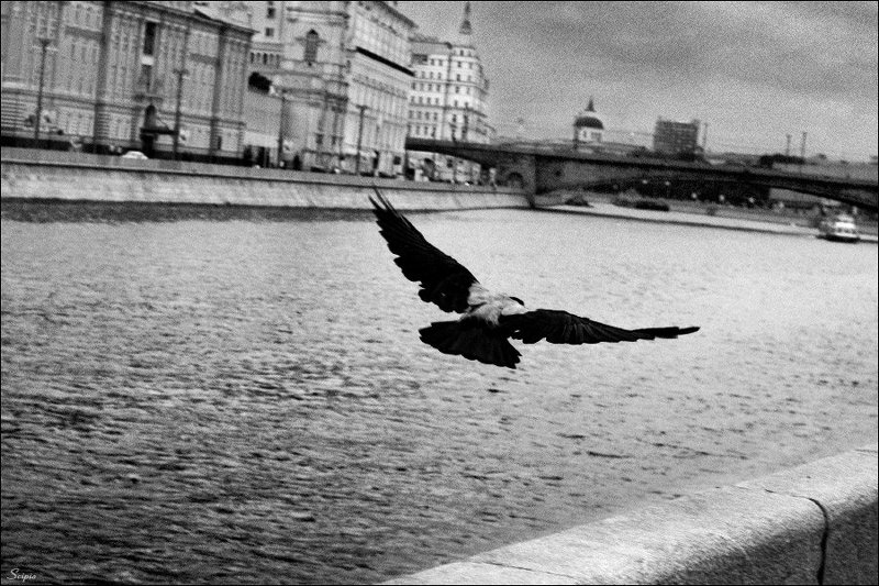 полёт, старый, город Полёт над старым городомphoto preview