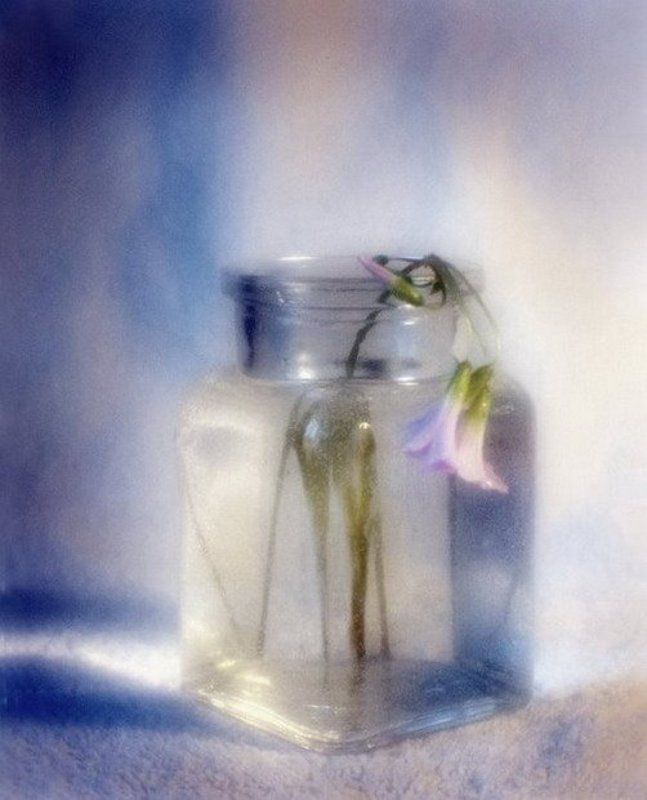 монокль простыми словами о веснеphoto preview