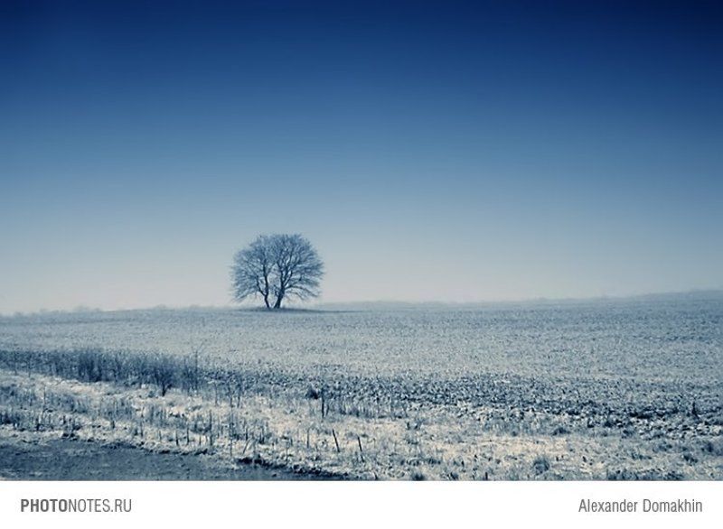 Кубань, пейзаж, зима, дерево, PHOTONOTES.RU Сто лет одиночестваphoto preview