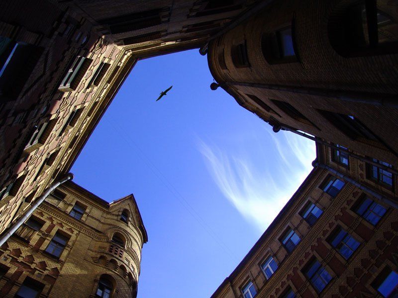 двор-колодец, Петербург Петербургские дворыphoto preview