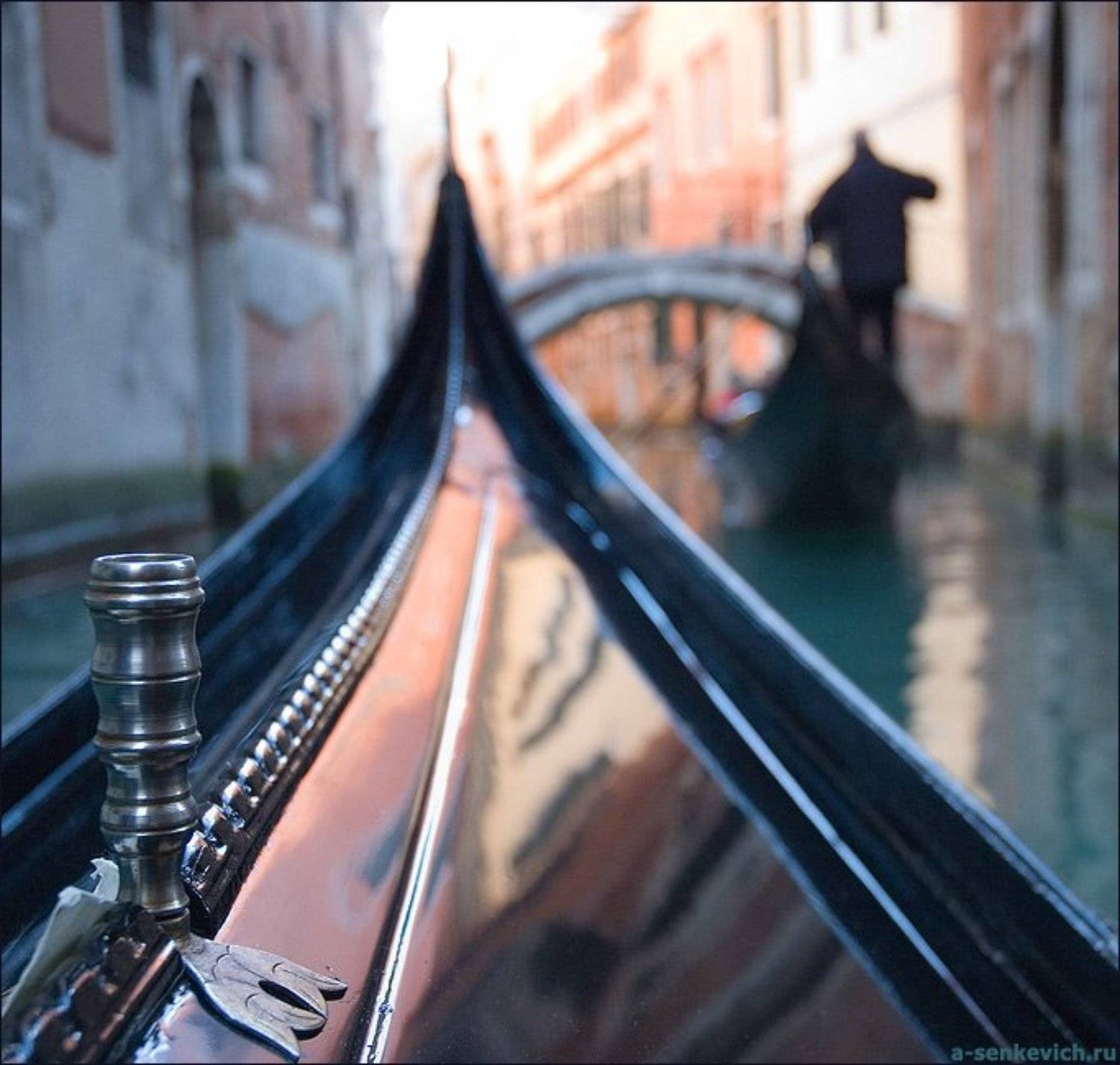 венеция, Андрей Сенкевич