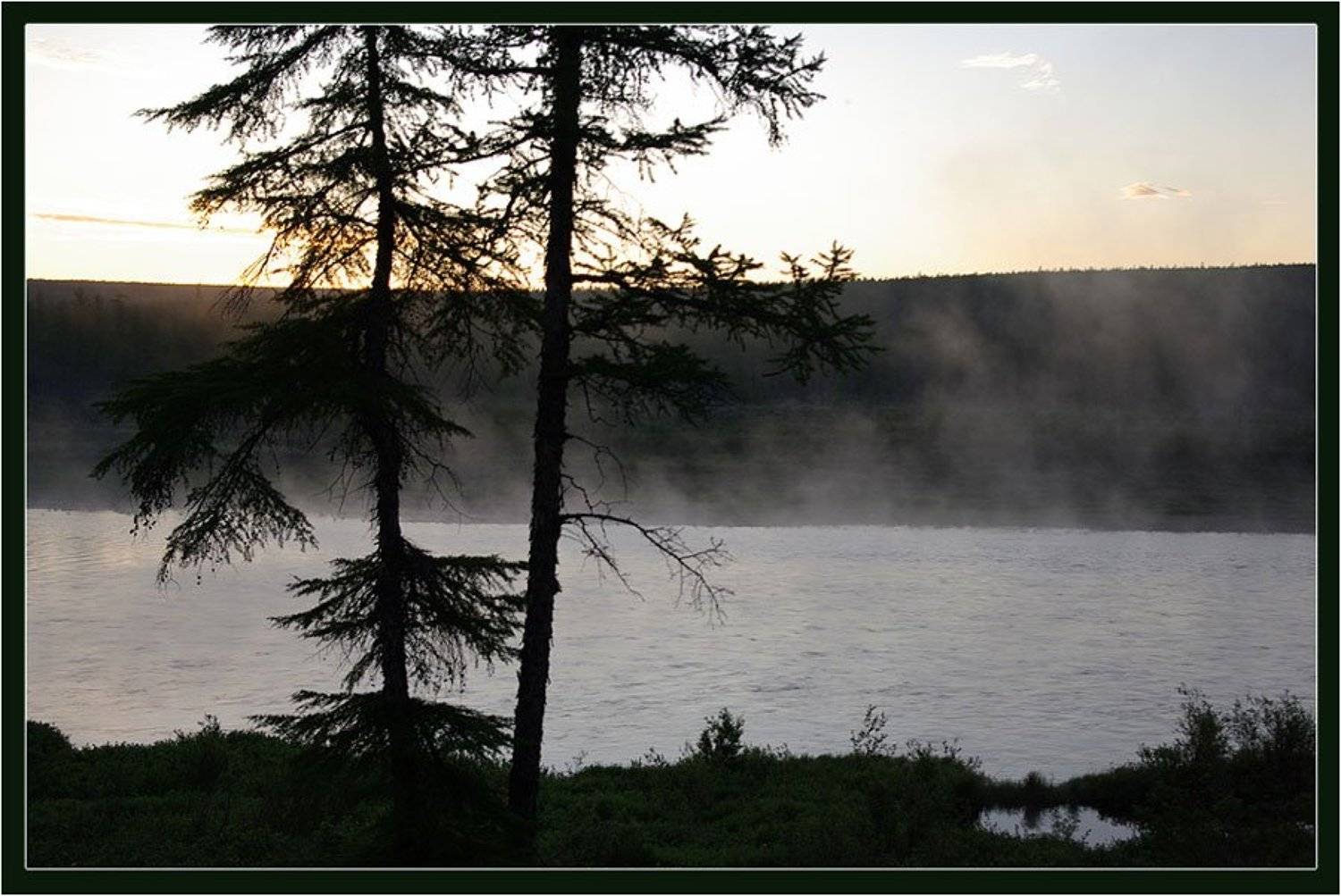 Белая ночь. Автор: Солодухин Виктор ночь,река,тайга, Солодухин Виктор