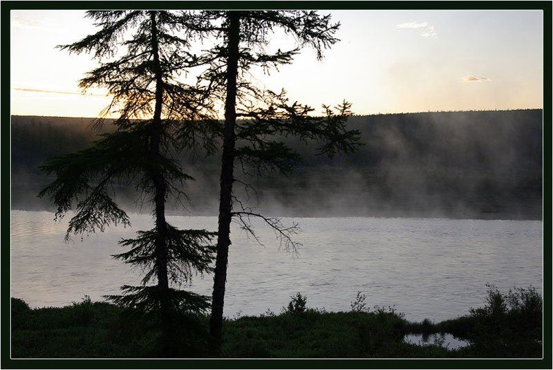 ночь,река,тайга Белая ночьphoto preview