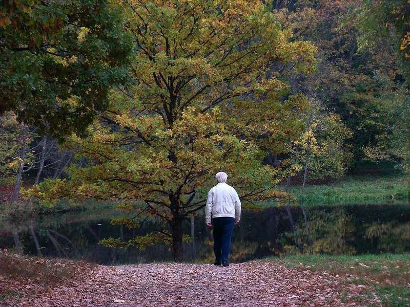 Осень жизни....photo preview