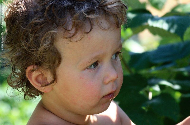 портрет, дети Купидон IIphoto preview