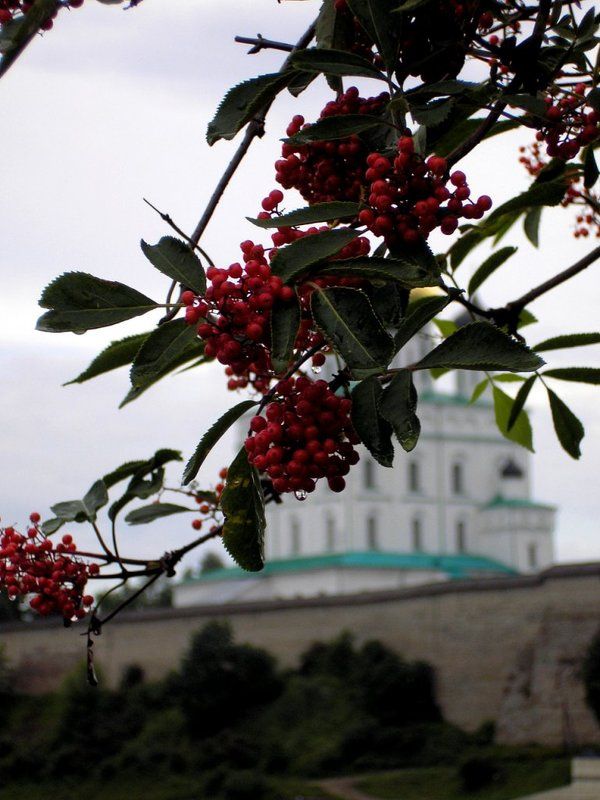 лето в монастыре лето в монастыреphoto preview