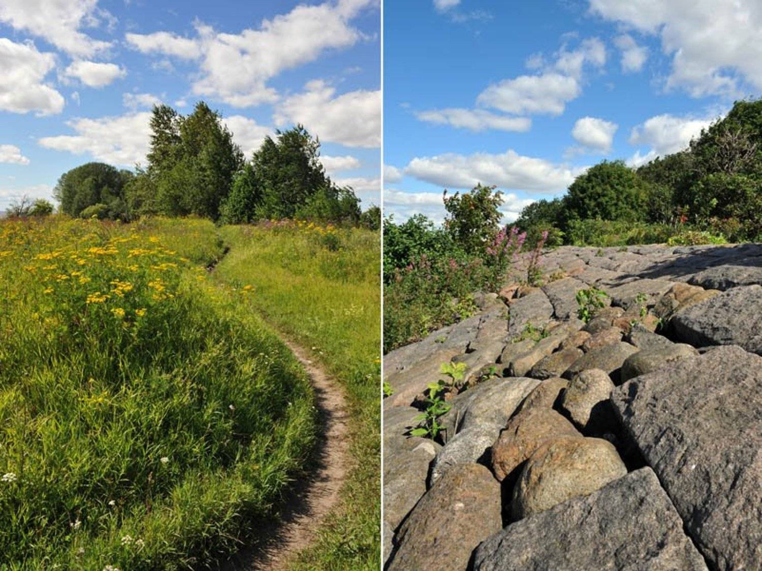 Канонерские пейзажики. Автор: Вячеслав Архипов природа, пейзажи, прогулка, запах трав, ветерок, чистый воздух,, Вячеслав Архипов