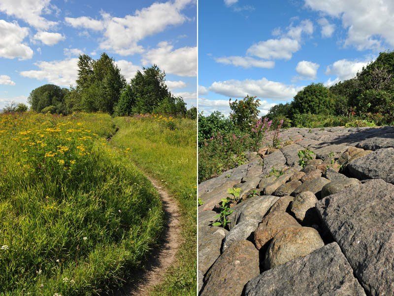 природа, пейзажи, прогулка, запах трав, ветерок, чистый воздух, Канонерские пейзажикиphoto preview