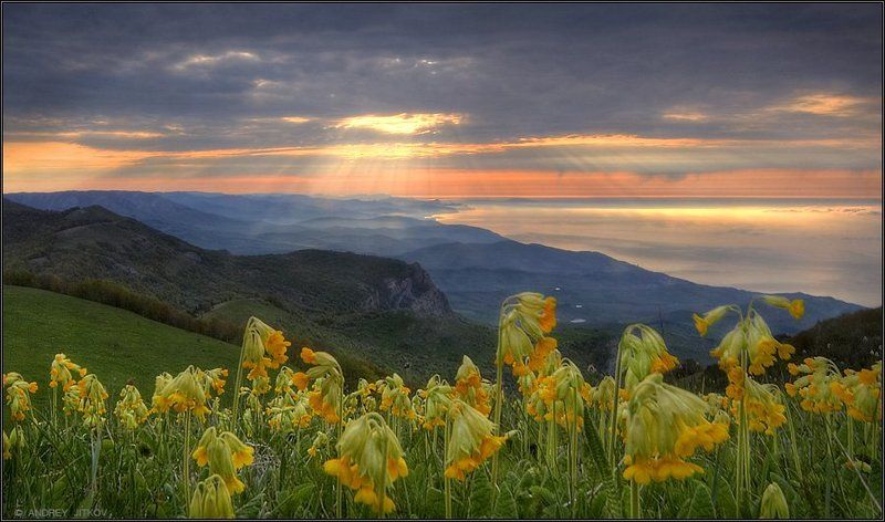 крым, рассвет, утро, море, лучи, солнце, горы, пейзаж * * *photo preview