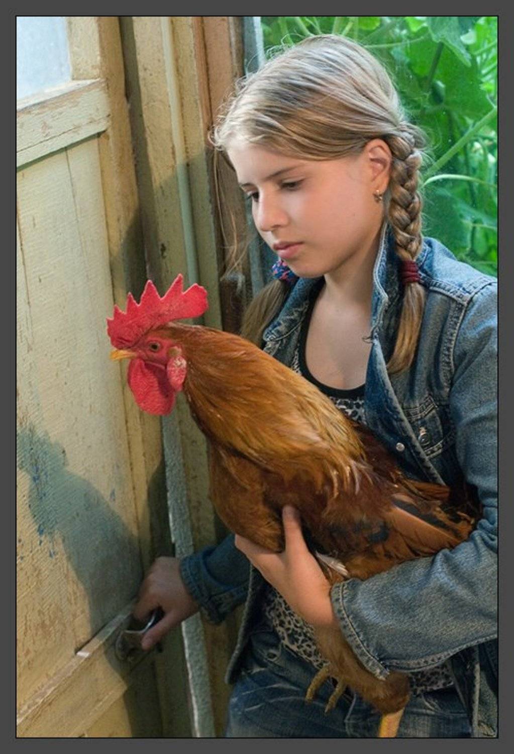 Прощай, Петя!. Автор: Basil G , Basil G