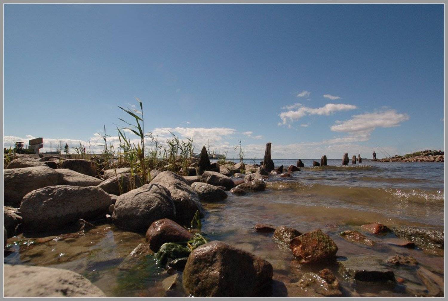 Канонерские зарисовки...(2). Автор: domovoi канонерский,остров,природа, domovoi