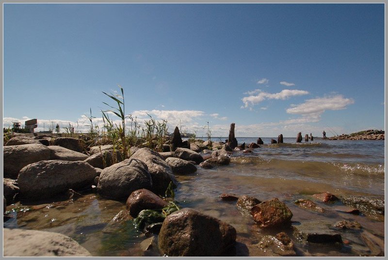 канонерский,остров,природа Канонерские зарисовки...(2)photo preview