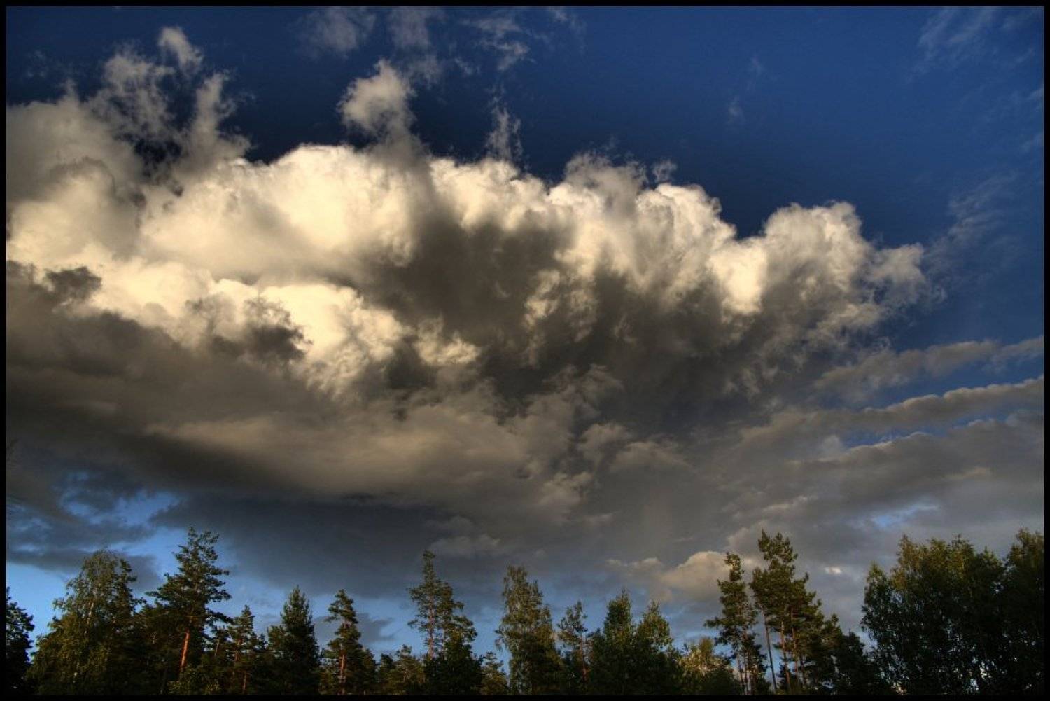 , Cairns (Павел Васильев)