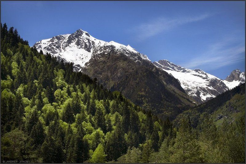 кавказ, горы, пейзаж, заповедник Тебердинский биосферный заповедник фото превью