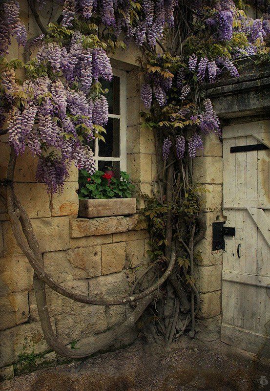 красная, шапочка, сказка, домик, бабушки Домик Бабушкиphoto preview