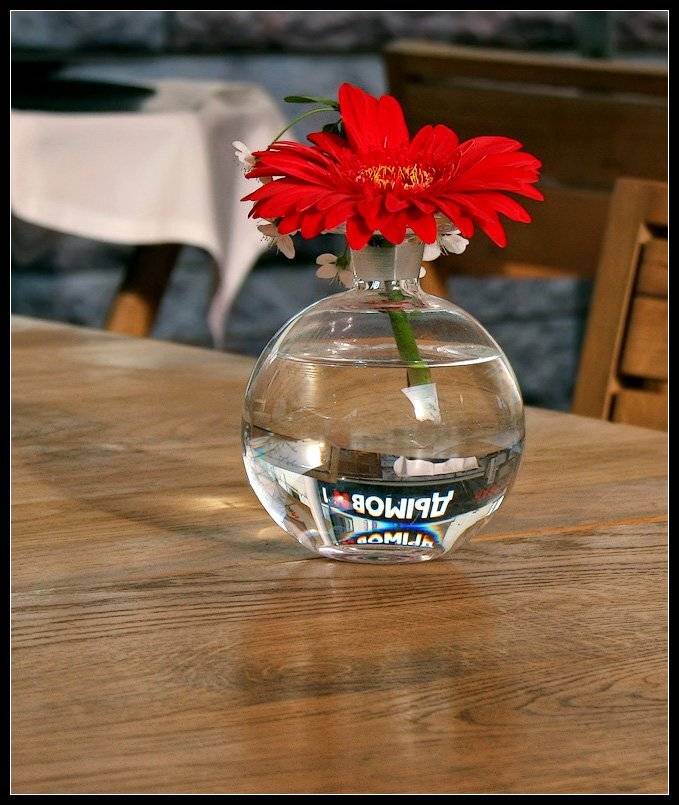 проходя мимо уличного кафе, Ольга