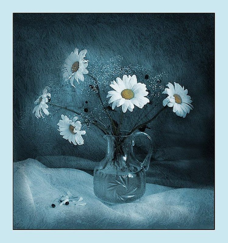 натюрморт Ромашки ..позеленели))photo preview