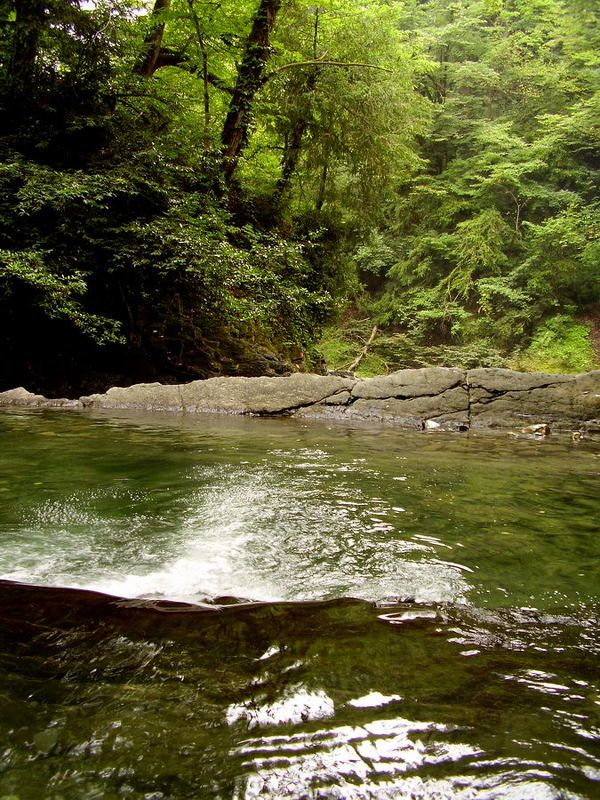 озера любви, водопад, лес, сочи Озера любви (Дагомыс)photo preview