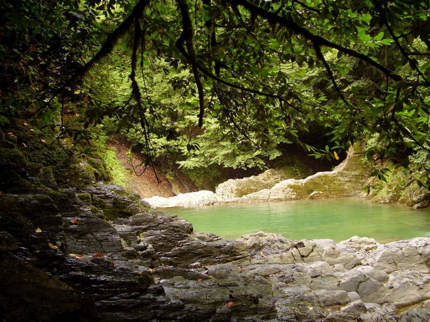 Озера любви 2. Автор: Наталья Герасименко озера любви, водопад, лес, сочи, Наталья Герасименко