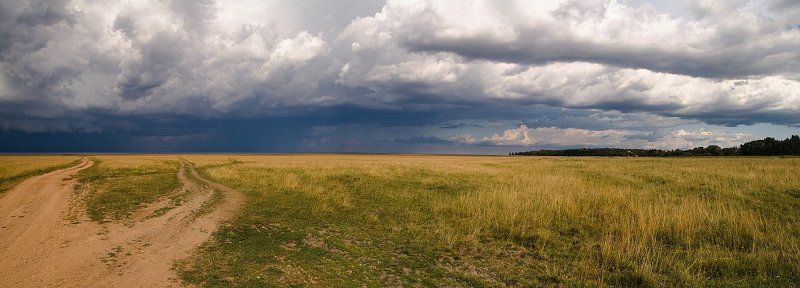 ильмень, поле, тучи, дорога, панорама photo preview