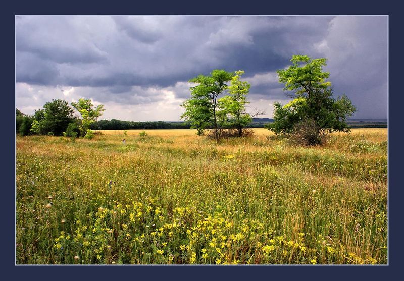 дождь Летний дождьphoto preview