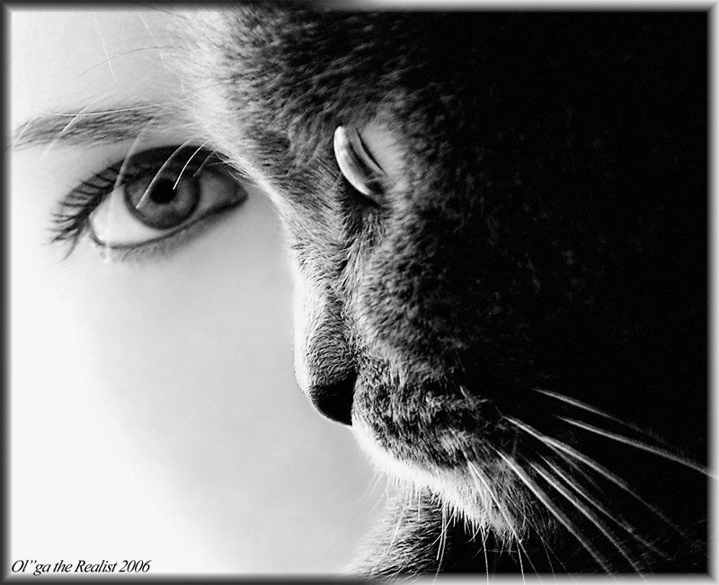 ...Одна сущность...photo preview