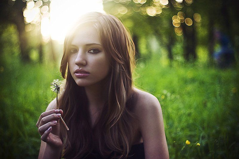 одуванчик photo preview