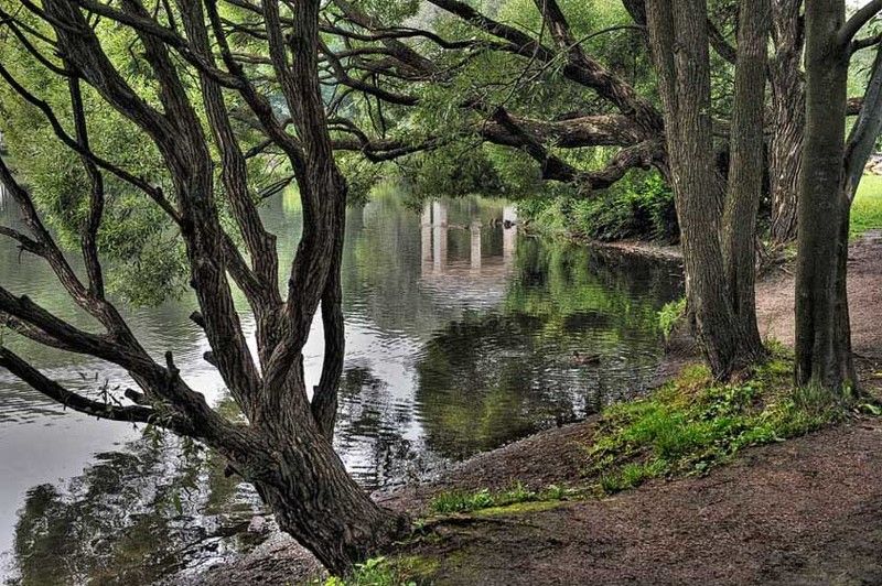 Укромное местечко...photo preview