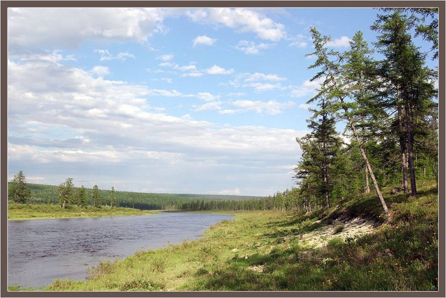 река,тайга, Солодухин Виктор