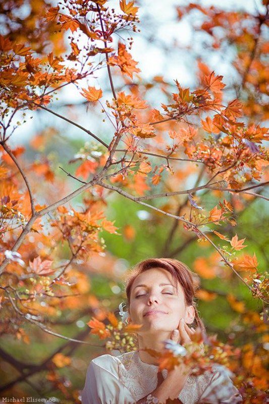 .wedding фото превью