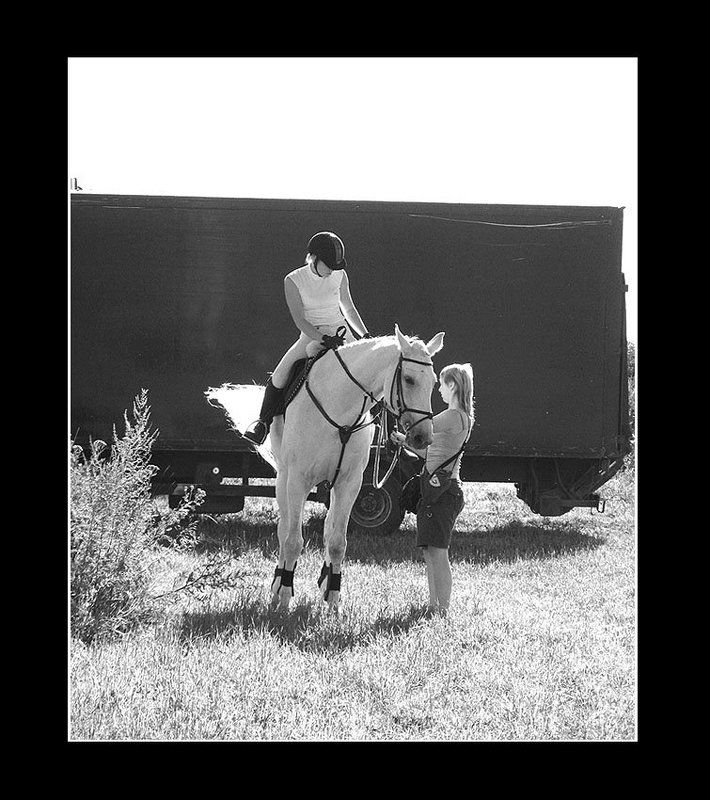 Лошадка фото превью