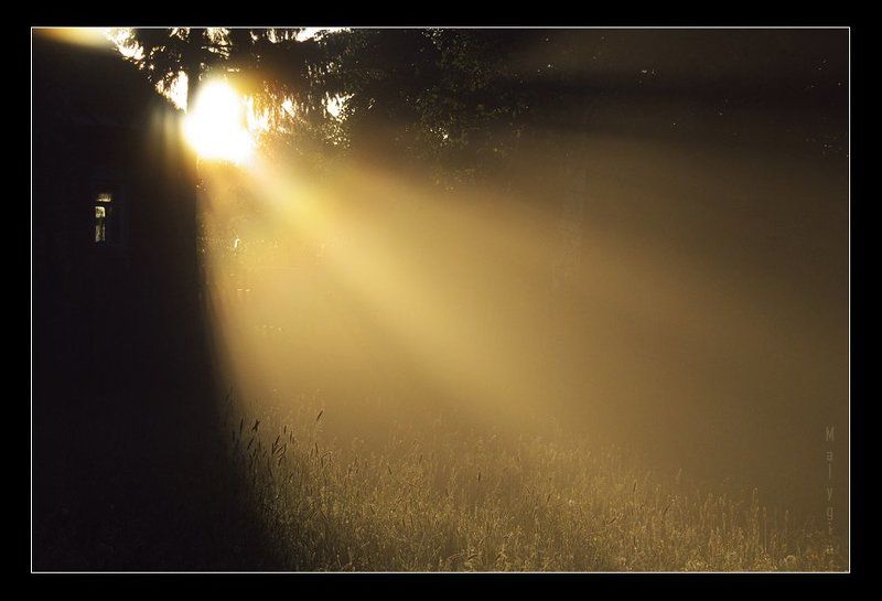 солце, рассвет The House Of The Rising Sunphoto preview