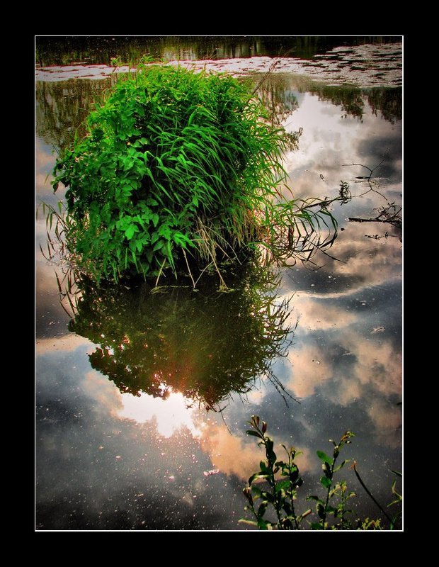 *  *  *photo preview