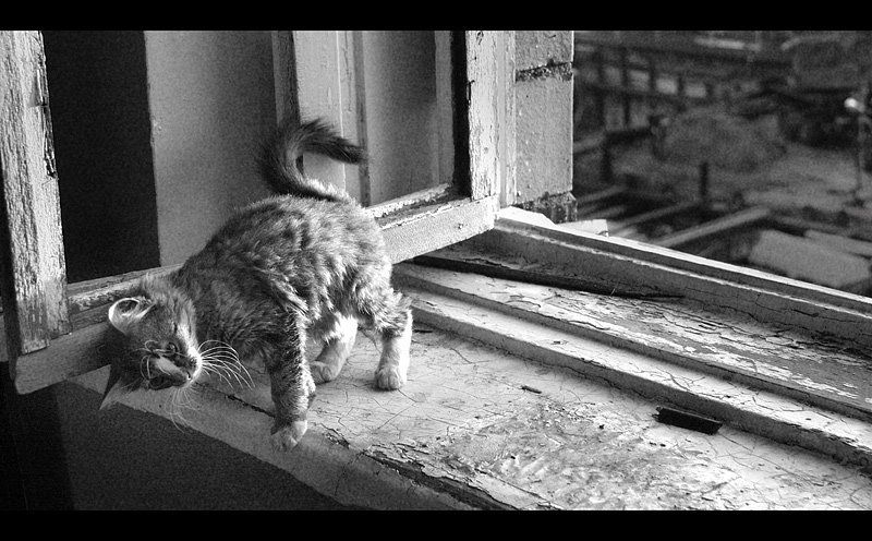 Дома!photo preview