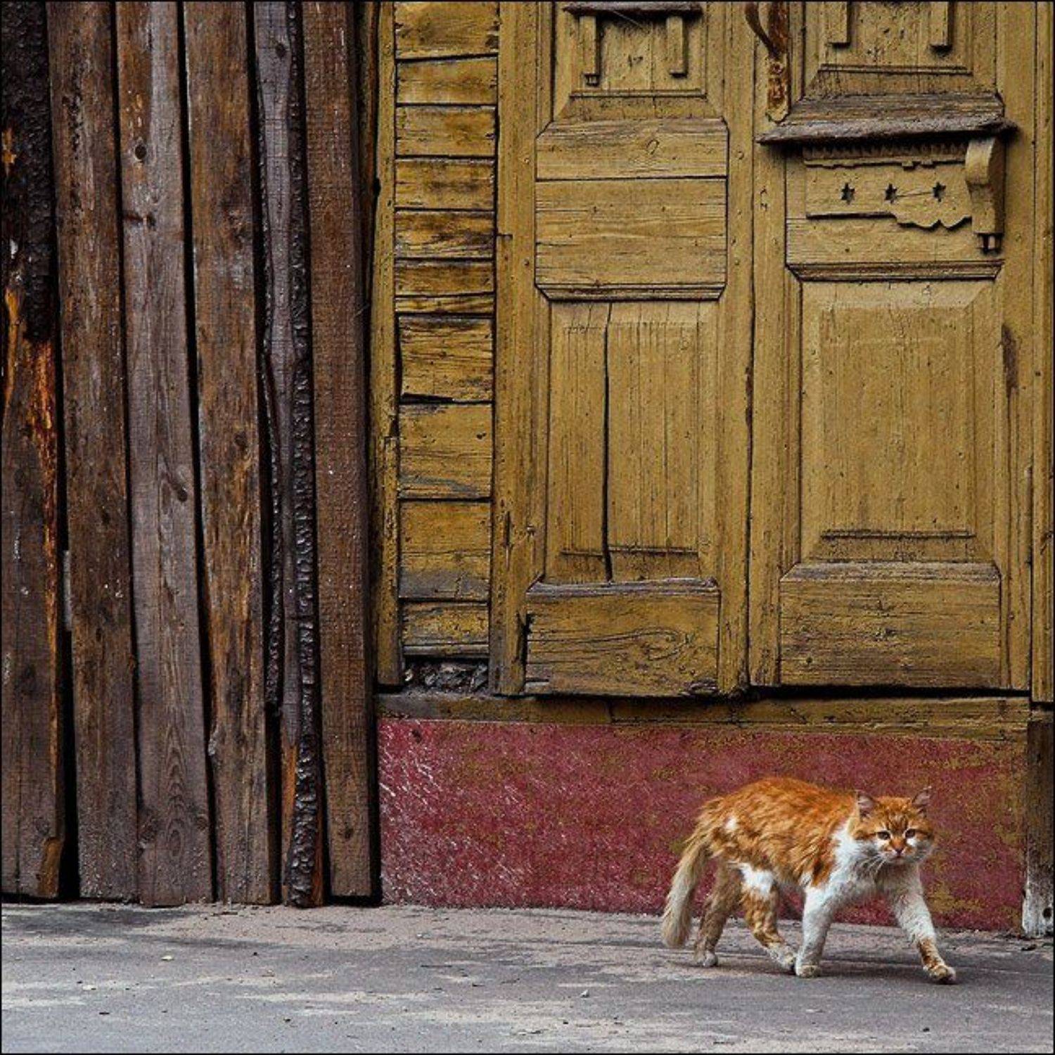 , Сергей Чубаров