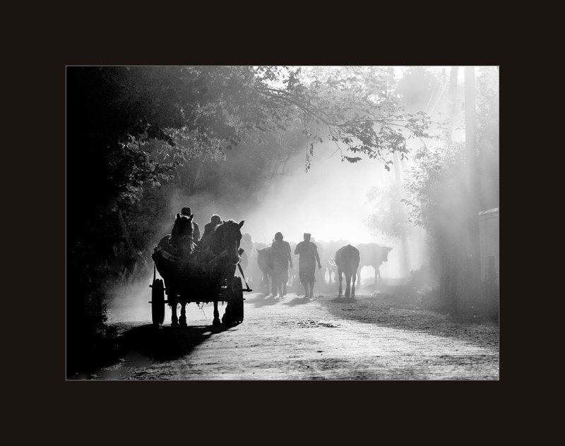 Домой...photo preview