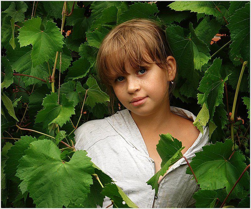 девочка лоза лето август зеленый виноград из жизни виноградной лозыphoto preview