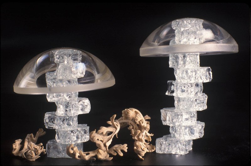 слайд Грибное местоphoto preview