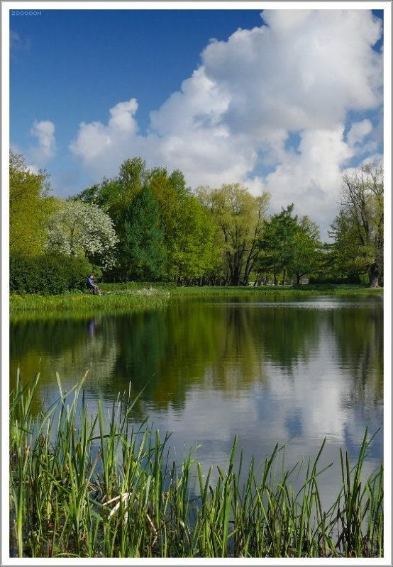 петербург парк победы Утро в весеннем парке 2photo preview