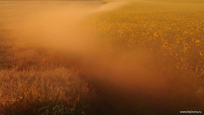 полеphoto preview