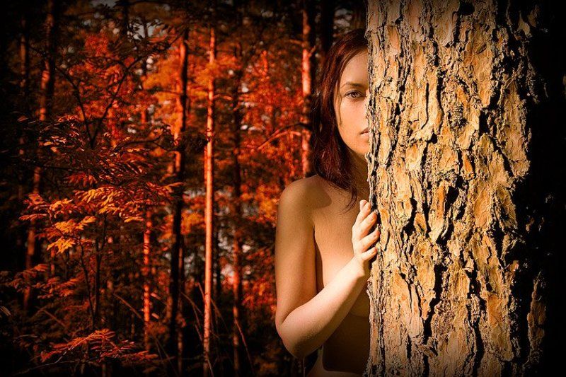 глаза,природы,пронзают,насквозь Дриадаphoto preview