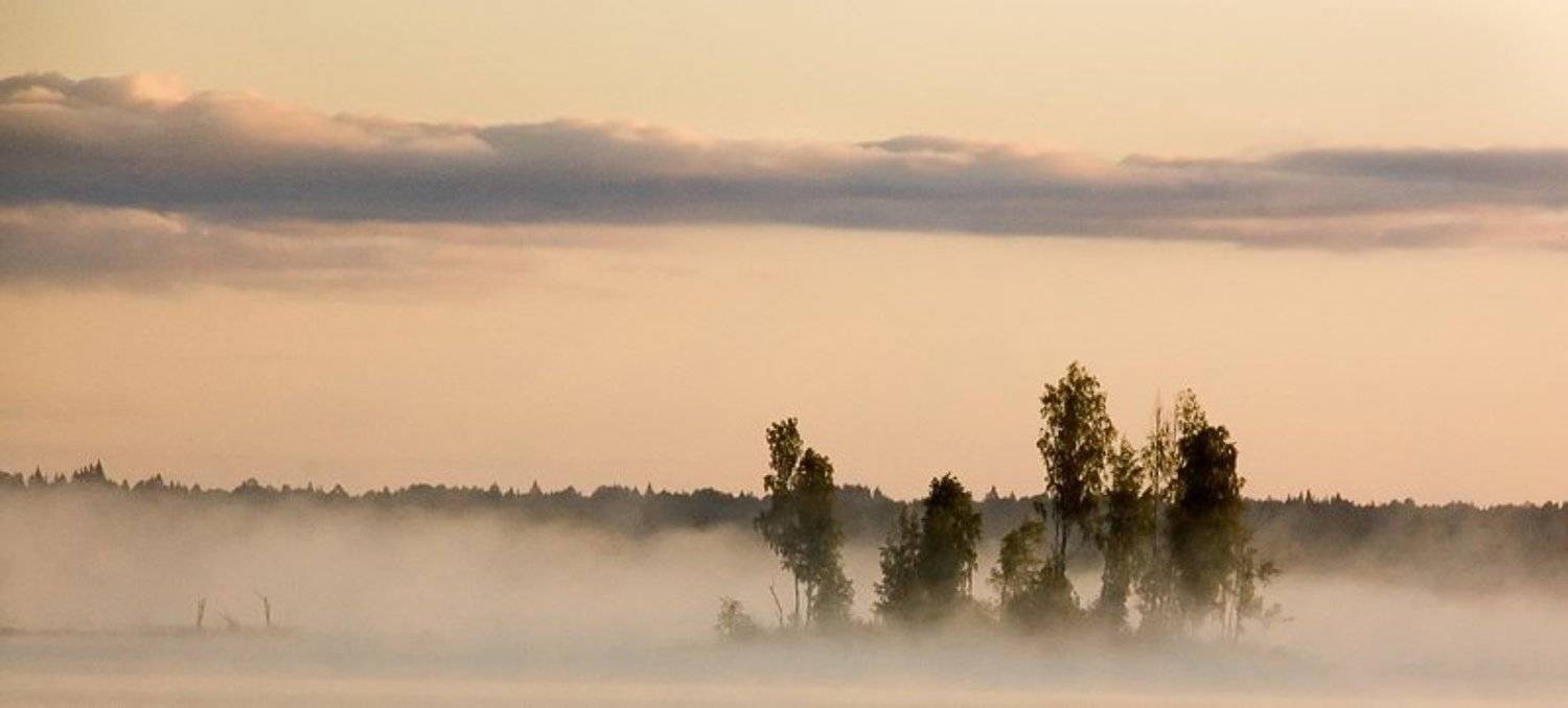 ***. Автор: Ефремов Юрий , Ефремов Юрий