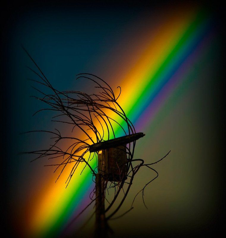 Радуга-Дугаphoto preview