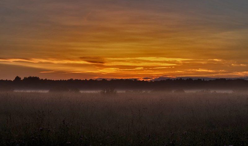 закат, деревня, лес, поле, туман photo preview