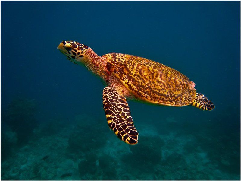 Парение - 2photo preview