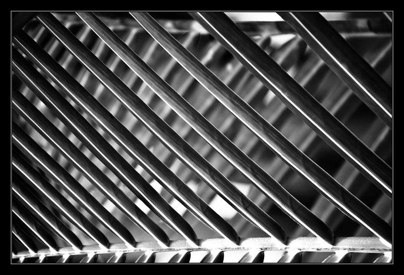 Лист пальмыphoto preview