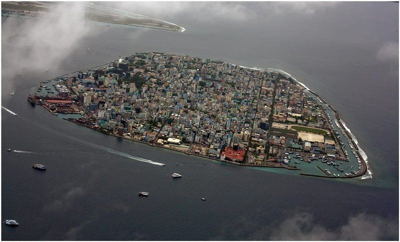 Малеphoto preview