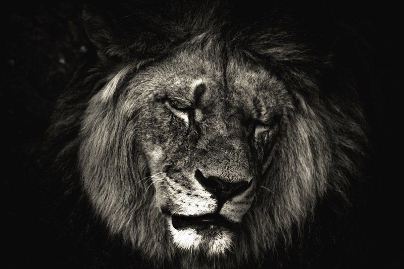 грусть... фото превью