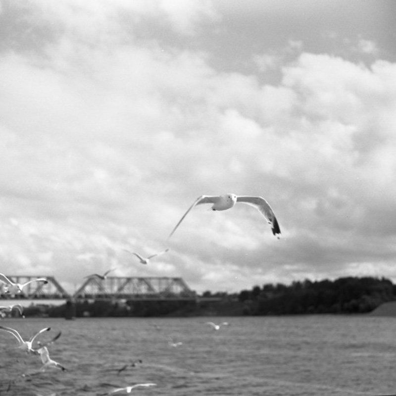 6x6, 120, пленка, киев-6с, волна-3, epson 4490, fomapan 400 ***photo preview